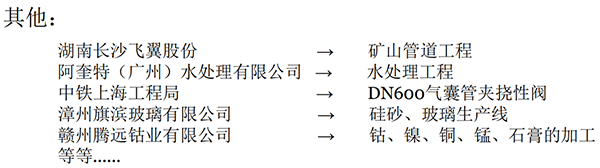 立式襯膠止回閥業績